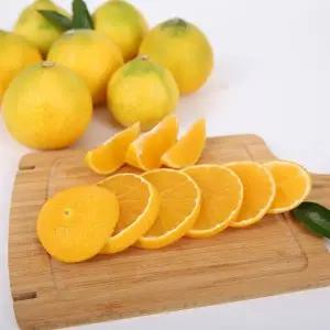 제주 고당도 황금향 4.5kg 소과