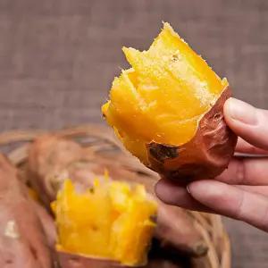 여주 세척 햇고구마 호박고구마 꿀 밤고구마 3kg 5kg