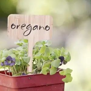 꽃식물라벨 화단 농장 간단한메로 적당한크기 가든픽 꾸미기 (WFJ73YE)