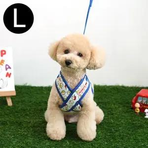 블루 세트 L 피너츠 X하네스 (WFJR6Z3)