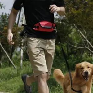 애견 산책용 배변 봉투 힙색 간식 주머니 강아지 가방 (WFK6M0N)