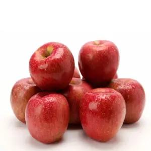 달콤한 가정용 부사 사과 10kg 중대과