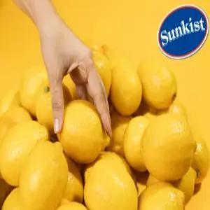 썬키스트 팬시 레몬 로얄 과수 3kg, 5kg