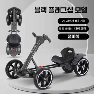 야외 겸용 접이식 대리기사 전동 전동카 표준 2025년형 용량 스탠다드