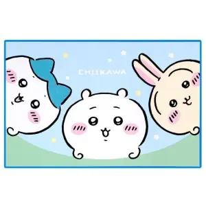 매트 야외용매트 휴대용돗자리 용돗자리 야외활동매트 (WFJ7I2N)