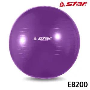 짐볼 짐볼 헬스 마사지짐볼 EB200 보라 (WFJ7TS4)