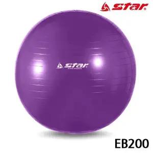 짐볼 짐볼 헬스 마사지짐볼 EB200 보라 (WFJ7TS4)