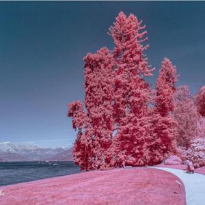 카메라 적외선 촬영용 580nm IR 롱 패스 필터 광학 유리