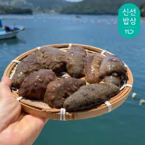 [품질보장]이순신수산 통영 제철 자연산 해삼 500g