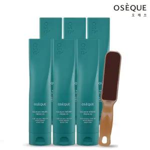 [대용량 패키지]실크 바디 필링 프리미엄 6종