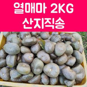 열매마 2kg 하늘마 넝쿨마 우주마