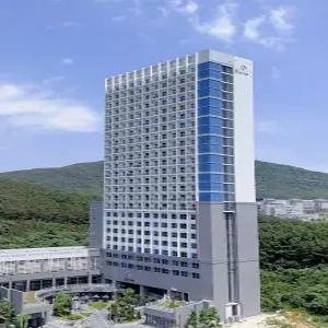 [인천 호텔] 영종 샤인 호텔 (인천공항,을왕리,영종도)