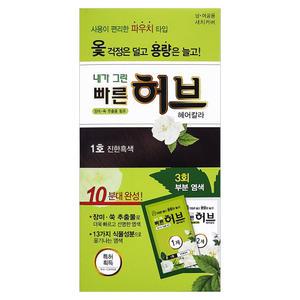 광동제약 내가그린 빠른허브 헤어칼라 1호 진한흑색 파우치