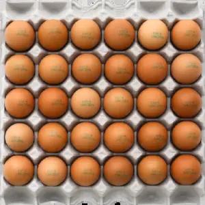 화담마켓(금당) 꾼란 촉촉한 구운계란 군계란 30구