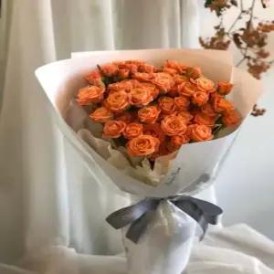 에밀리정원 피치팡팡장미 생화 1단