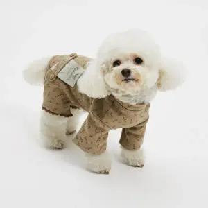 [루이독] 올리브 올인원