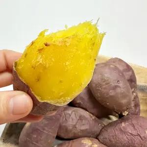 해남 세척 꿀고구마 중상 5kg JT 햇고구마 숙성고구마