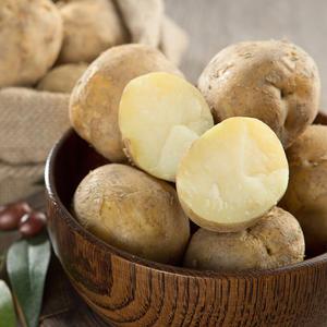 국내산 강원도 제철 수미감자 대 5kg