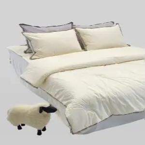 [단품] 메리퀸 파인드 듀얼 양모 차렵이불