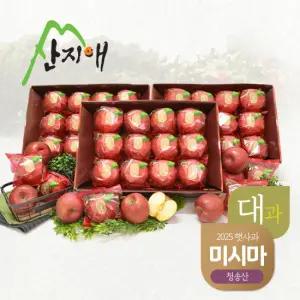 산지애 청송 사과 미시마 9kg (3kg*3박스, 총 24~36과)