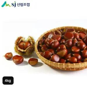 [NS홈쇼핑]25년산 충주 햇밤 대 4kg[35591581]