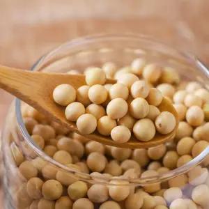 국산 백태 대두콩 2kg