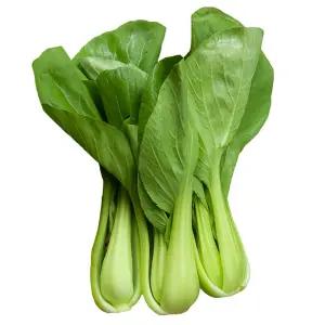 맛통령 국내산 청경채 4kg