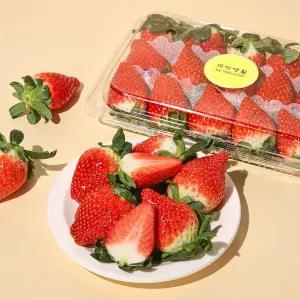 [프리미엄] 홍희 딸기 500g 팩