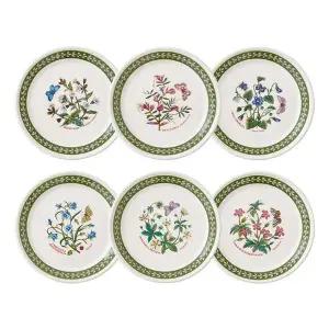 [포트메리온]보타닉가든 에칭 앞접시6p[35666034]