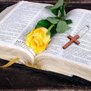 인기 휴대용 모형 베스트 미니 키링 십자가 소 (WFJSPU1)