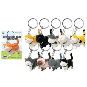 18개 키링 인기 베스트 고양이 단짝 랜덤 찾 (WFJSPV0)