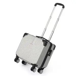 페이버릿 미니 캐리어(18형) (실버) (WB7587C)