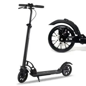 고품질 롤릭 KS10 주니어 성인 두발 킥보드 초등 초등킥보드 (WFK9GFY)