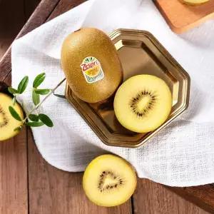 거북농산]제주도 제스프리 골드키위 2.7kg /제주하트골드키위 2.4kg 과수선택