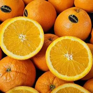 블랙라벨 고당도 오렌지 대과 2.5kg (10입)