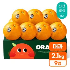 [품질보장] 100년기업 세콰이어 네이블 오렌지 (대과 2.1kg내외)