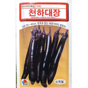 천하대장가지 2000립 미니가지 장가지 백원경가지 흰계란가지 둥근달가지 천하대장가지 코레곤종묘 23년