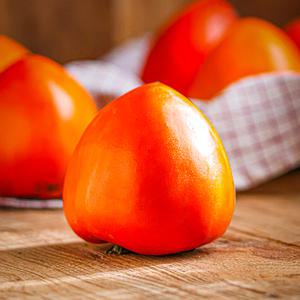 프리미엄 초고당도 대봉감 홍시 대봉시 진영 단감 특대과 10kg (28과내외)