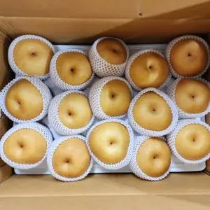 국내산 못난이 햇배 나주배 하동배 신화배 신고배 가정용 업소용 흠과