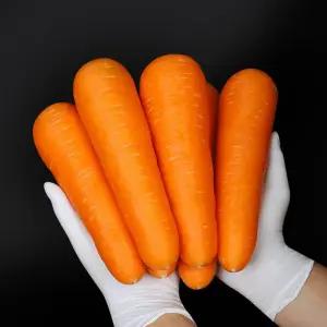 [신선하랑]아삭 달큰 수입 세척 당근 10kg (2L)