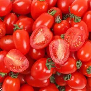 충남 부여 대추방울토마토 3-4번과 3kg /2세트 주문시 7kg 발송