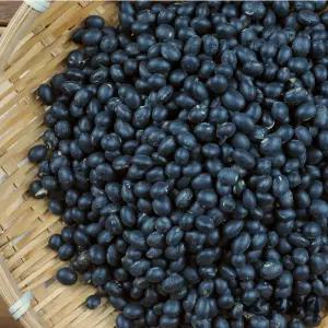 국산 서리태 속청 10kg (5kg+5kg)