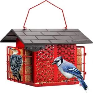 야외용 수트 버드 피더 더블 케이지 케이크가 있는 메탈 4.9파운드 대용량 청소 및 리필이 간편하며 야생