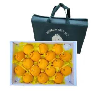 한라봉 선물세트 특대과 5Kg 제주 만감류 추석 설 명절선물 선물가방포장