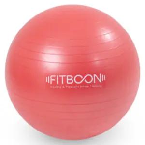 핏분 짐볼 임산부 요가 필라테스 홈트 운동 75cm 레드