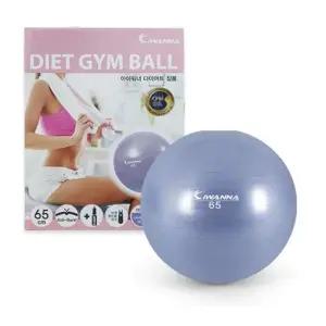 짐볼 65 라벤다블루 필라테스 안티버스트