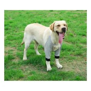 강아지 무릎보호대 슬개골 앞다리 방한 관절보호 2XL