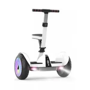 두발전동휠 투휠 호버보드 대리기사 전동 전동휠