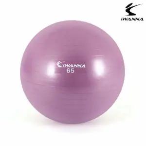다이어트 헬스 라일락 65cm 짐볼 짐볼