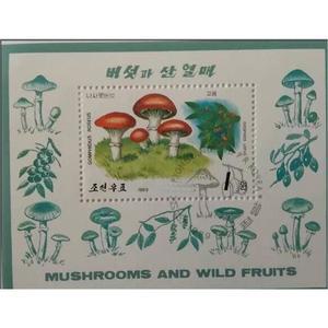 호환 아시아 기념품 시트 스탬프 실제 컬렉션